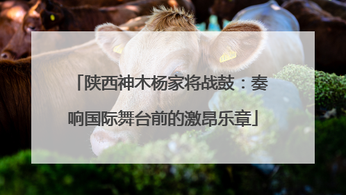 陕西神木杨家将战鼓：奏响国际舞台前的激昂乐章