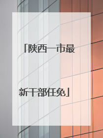 陕西一市最新干部任免