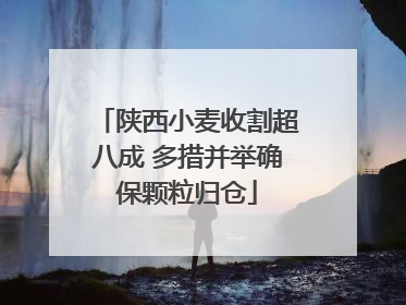 陕西小麦收割超八成 多措并举确保颗粒归仓