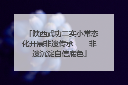 陕西武功二实小常态化开展非遗传承——非遗沉淀自信底色