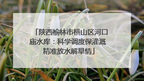 陕西榆林市横山区河口庙水库：科学调度保灌溉 精准放水解旱情
