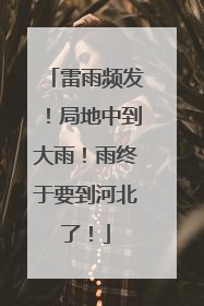 雷雨频发！局地中到大雨！雨终于要到河北了！