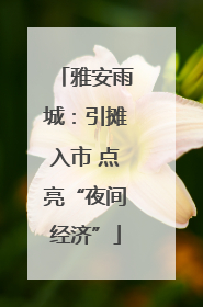 雅安雨城：引摊入市 点亮“夜间经济”