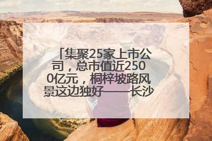 集聚25家上市公司，总市值近2500亿元，桐梓坡路风景这边独好——长沙有条“上市路”
