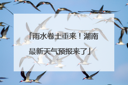 雨水卷土重来！湖南最新天气预报来了