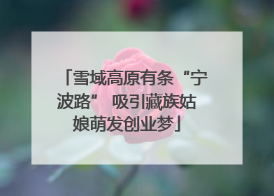雪域高原有条“宁波路” 吸引藏族姑娘萌发创业梦