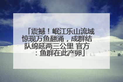 震撼！岷江乐山流域惊现万鱼翻涌，成群结队绵延两三公里 官方：鱼群在此产卵