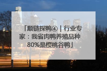 顺链探鸭④｜行业专家：我省肉鸭养殖品种80%是樱桃谷鸭