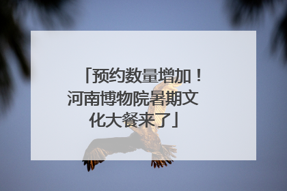 预约数量增加！河南博物院暑期文化大餐来了