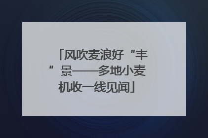 风吹麦浪好“丰”景——多地小麦机收一线见闻