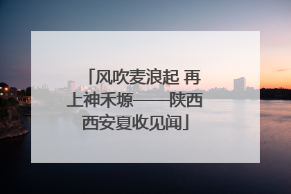 风吹麦浪起 再上神禾塬——陕西西安夏收见闻
