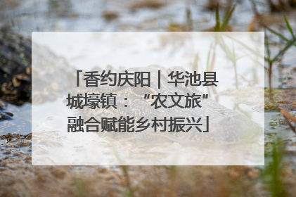 香约庆阳｜华池县城壕镇：“农文旅”融合赋能乡村振兴