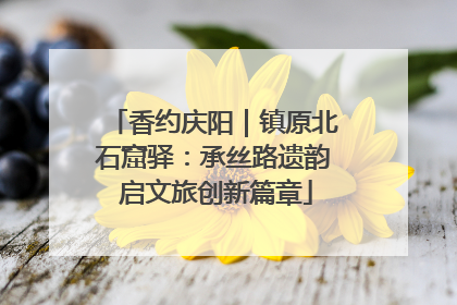 香约庆阳｜镇原北石窟驿：承丝路遗韵 启文旅创新篇章