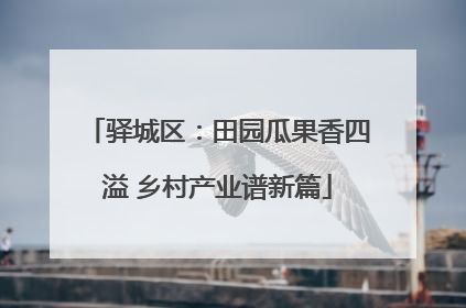 驿城区：田园瓜果香四溢 乡村产业谱新篇