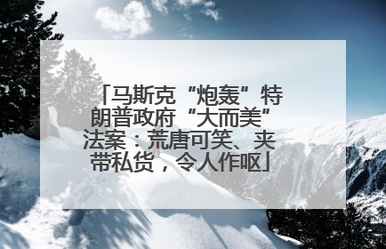 马斯克“炮轰”特朗普政府“大而美”法案：荒唐可笑、夹带私货，令人作呕