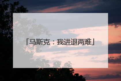 马斯克：我进退两难