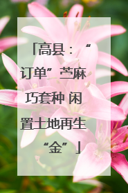 高县：“订单”苎麻巧套种 闲置土地再生“金”