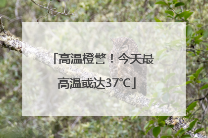 高温橙警！今天最高温或达37℃