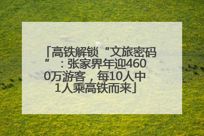 高铁解锁“文旅密码”：张家界年迎4600万游客，每10人中1人乘高铁而来