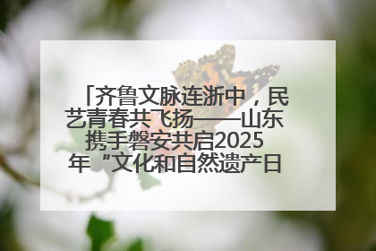 齐鲁文脉连浙中，民艺青春共飞扬——山东携手磐安共启2025年“文化和自然遗产日”系列活动