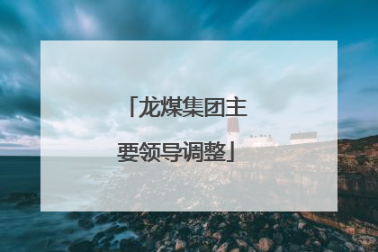 龙煤集团主要领导调整