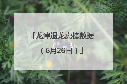 龙津退龙虎榜数据（6月26日）