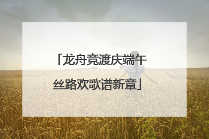 龙舟竞渡庆端午 丝路欢歌谱新章