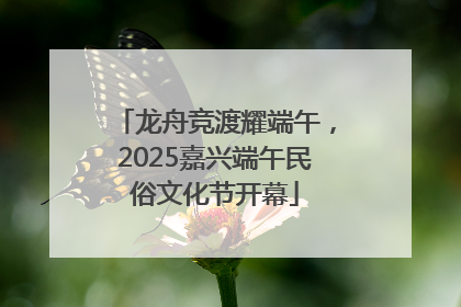 龙舟竞渡耀端午，2025嘉兴端午民俗文化节开幕