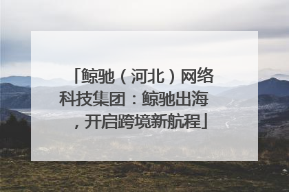 鲸驰（河北）网络科技集团：鲸驰出海，开启跨境新航程