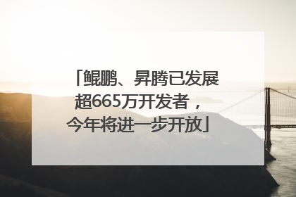 鲲鹏、昇腾已发展超665万开发者，今年将进一步开放