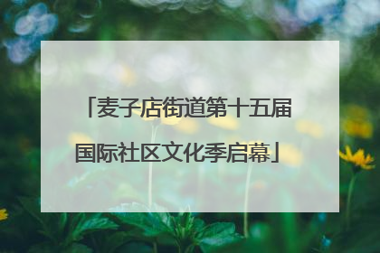 麦子店街道第十五届国际社区文化季启幕