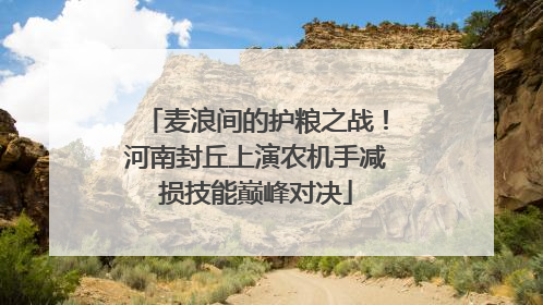 麦浪间的护粮之战！河南封丘上演农机手减损技能巅峰对决