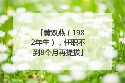 黄双燕（1982年生），任职不到8个月再提拔