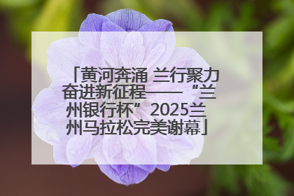 黄河奔涌 兰行聚力 奋进新征程——“兰州银行杯”2025兰州马拉松完美谢幕