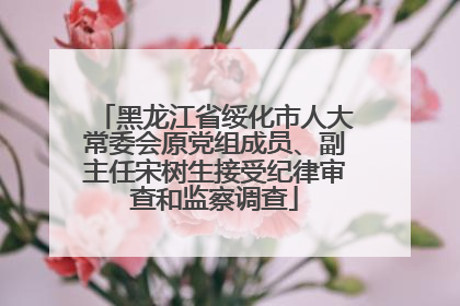 黑龙江省绥化市人大常委会原党组成员、副主任宋树生接受纪律审查和监察调查