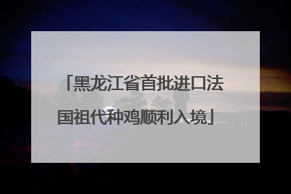 黑龙江省首批进口法国祖代种鸡顺利入境