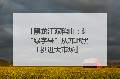 黑龙江双鸭山：让“绿字号”从寒地黑土挺进大市场
