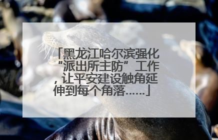 黑龙江哈尔滨强化“派出所主防”工作，让平安建设触角延伸到每个角落……