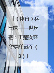 （体育）乒乓球——世乒赛：王楚钦夺得男单冠军（3）