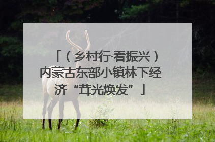 （乡村行·看振兴）内蒙古东部小镇林下经济“茸光焕发”