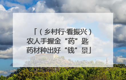 （乡村行·看振兴）农人手握金“药”匙 药材种出好“钱”景