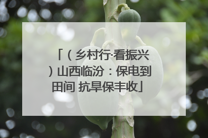（乡村行·看振兴）山西临汾：保电到田间 抗旱保丰收