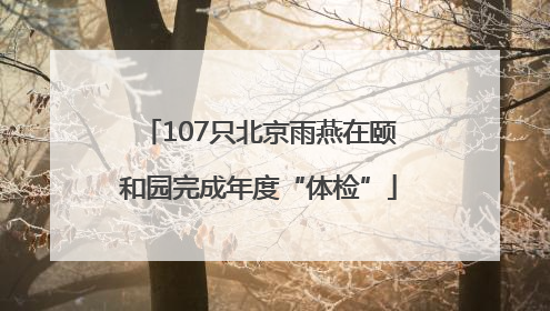 107只北京雨燕在颐和园完成年度“体检”