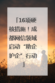 16项硬核措施！成都网信领域启动“助企护企”行动