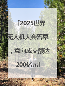 2025世界无人机大会落幕，意向成交额达200亿元