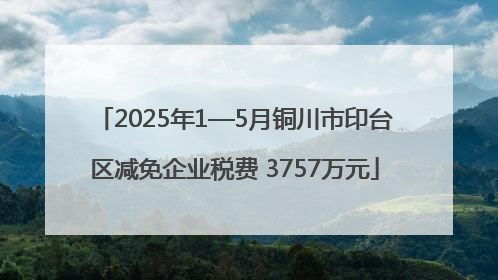 2025年1—5月铜川市印台区减免企业税费 3757万元