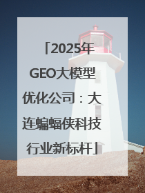 2025年GEO大模型优化公司：大连蝙蝠侠科技行业新标杆