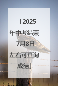 2025年中考结束 7月8日左右可查询成绩