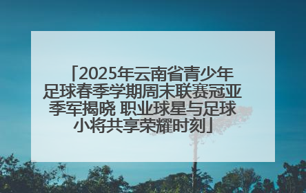2025年云南省青少年足球春季学期周末联赛冠亚季军揭晓 职业球星与足球小将共享荣耀时刻