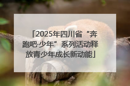 2025年四川省“奔跑吧·少年”系列活动释放青少年成长新动能
